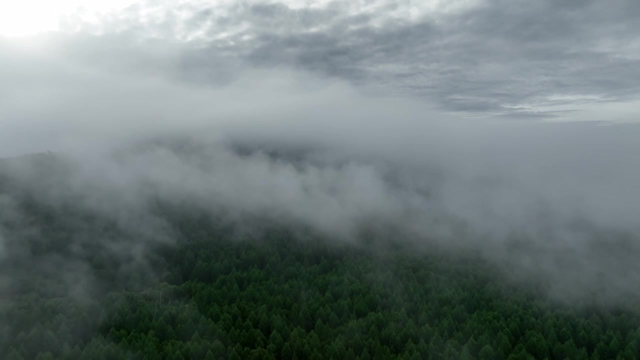 航拍山林云雾视频素材