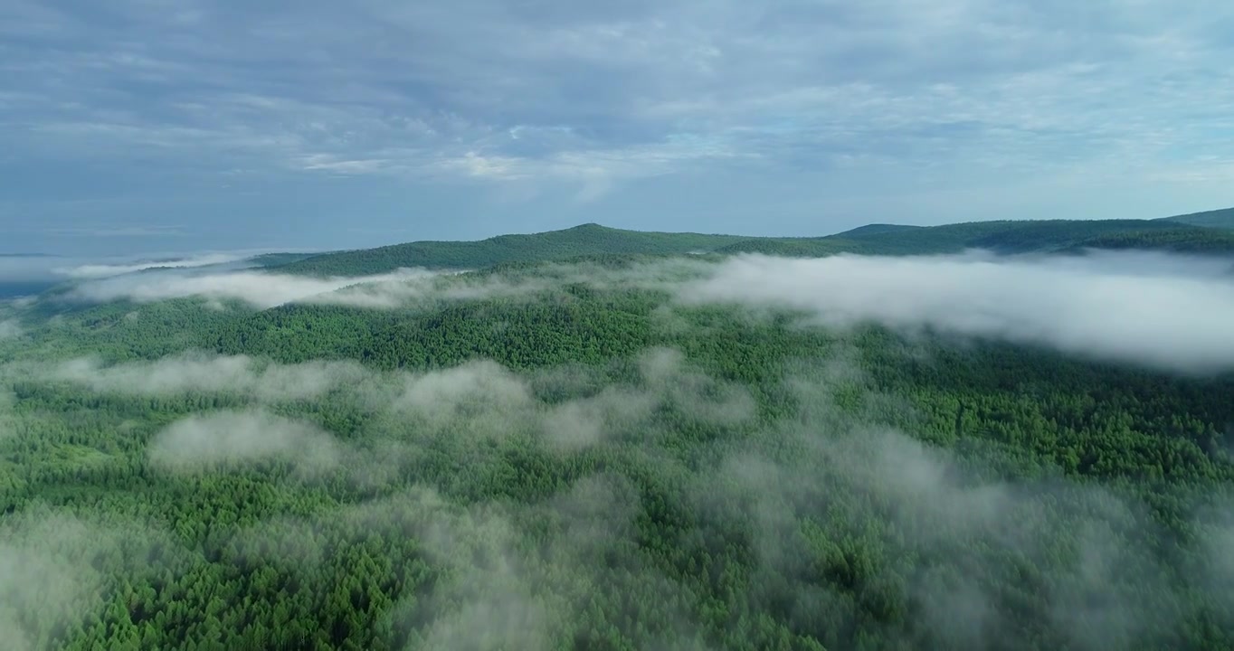 航拍大兴安岭绿色山林云海视频素材