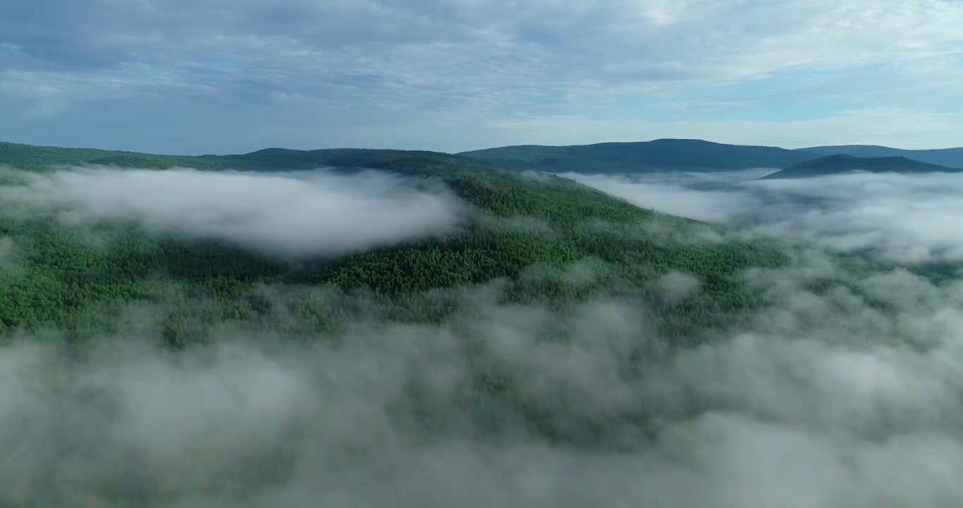 航拍大兴安岭原始森林云海视频素材