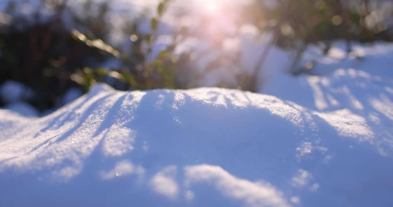 唯美福字剪纸与大雪中的红灯笼（选编）视频下载