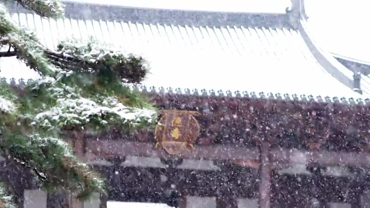 下雪大雪纷飞江南园林古建筑升格慢镜头视频下载
