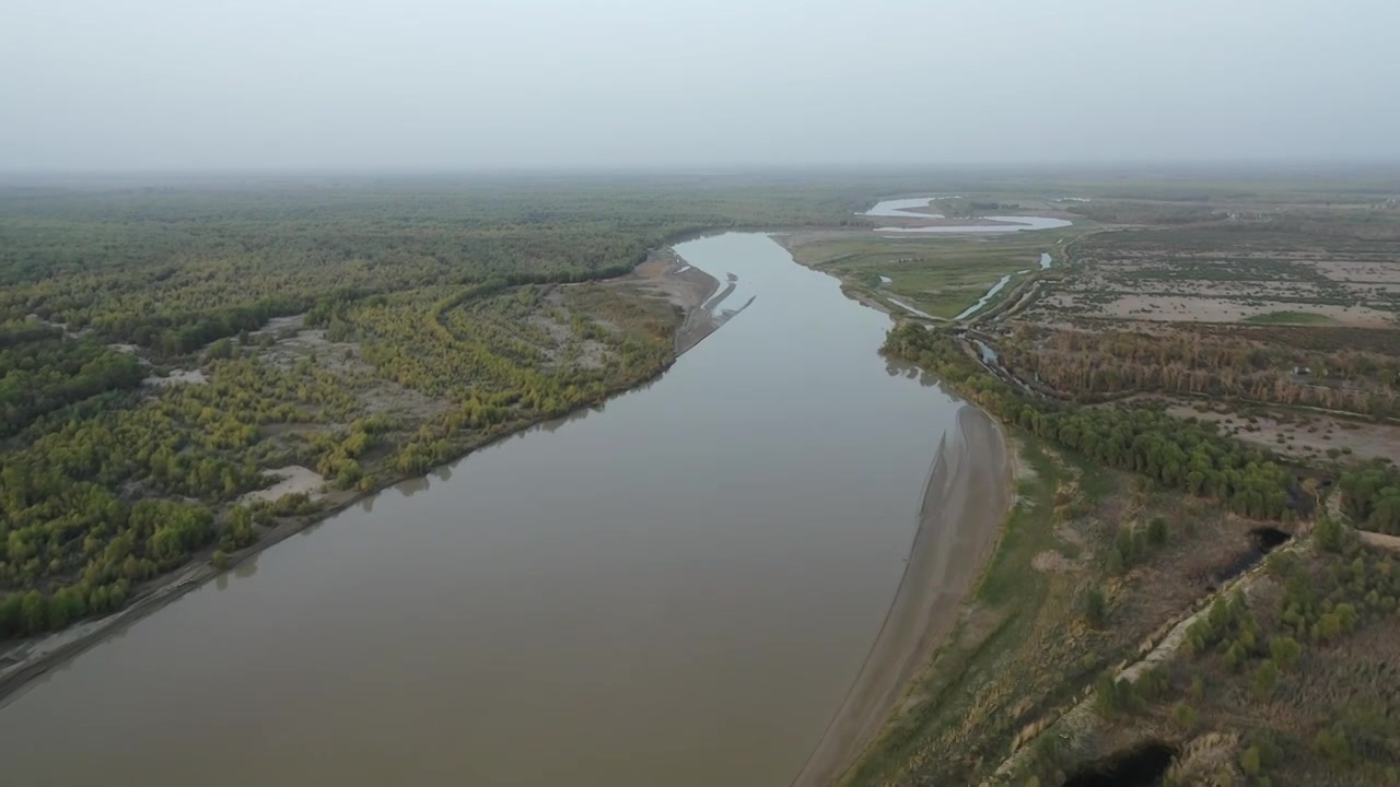 原创 新疆塔里木河航拍风光视频素材