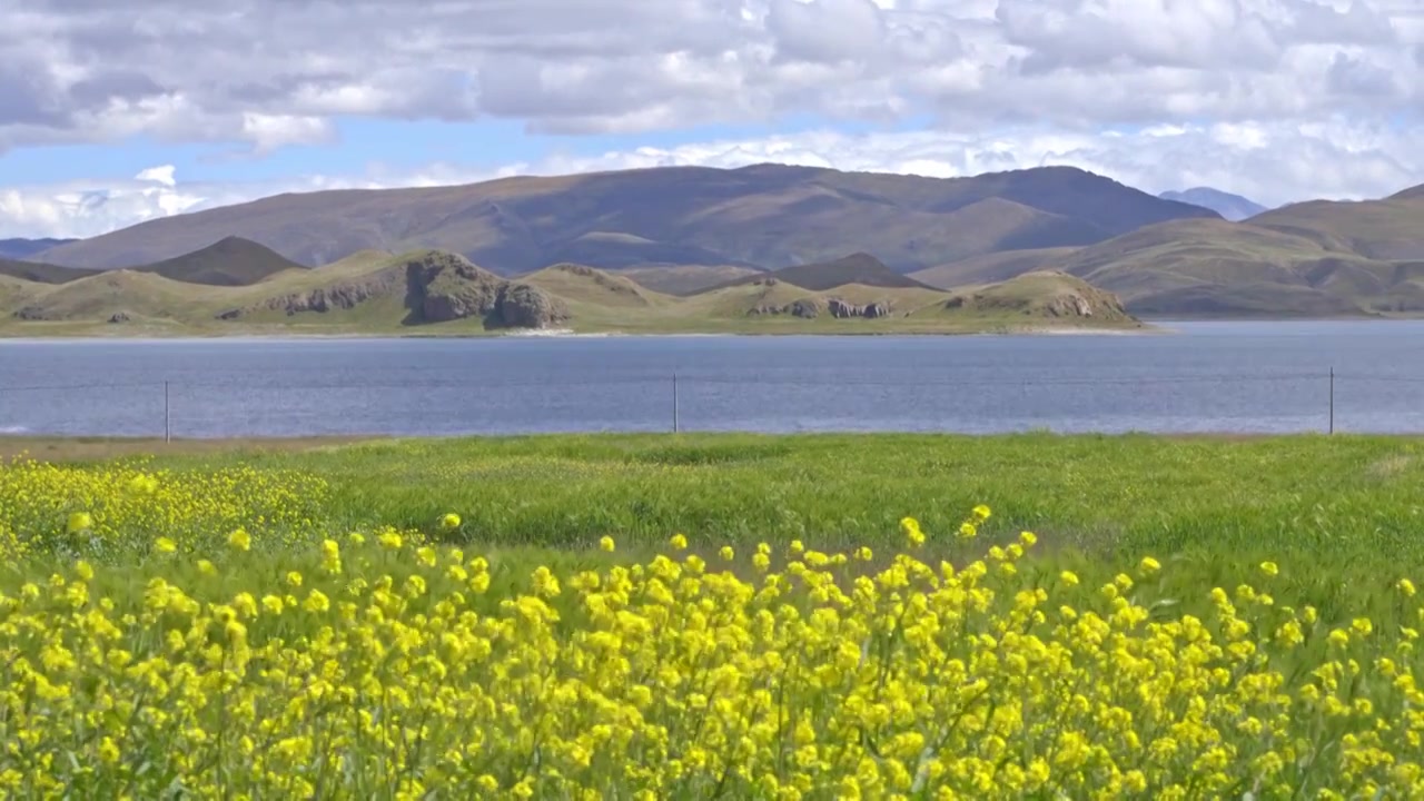 西藏山南市贡嘎县羊卓雍措羊湖风景视频下载