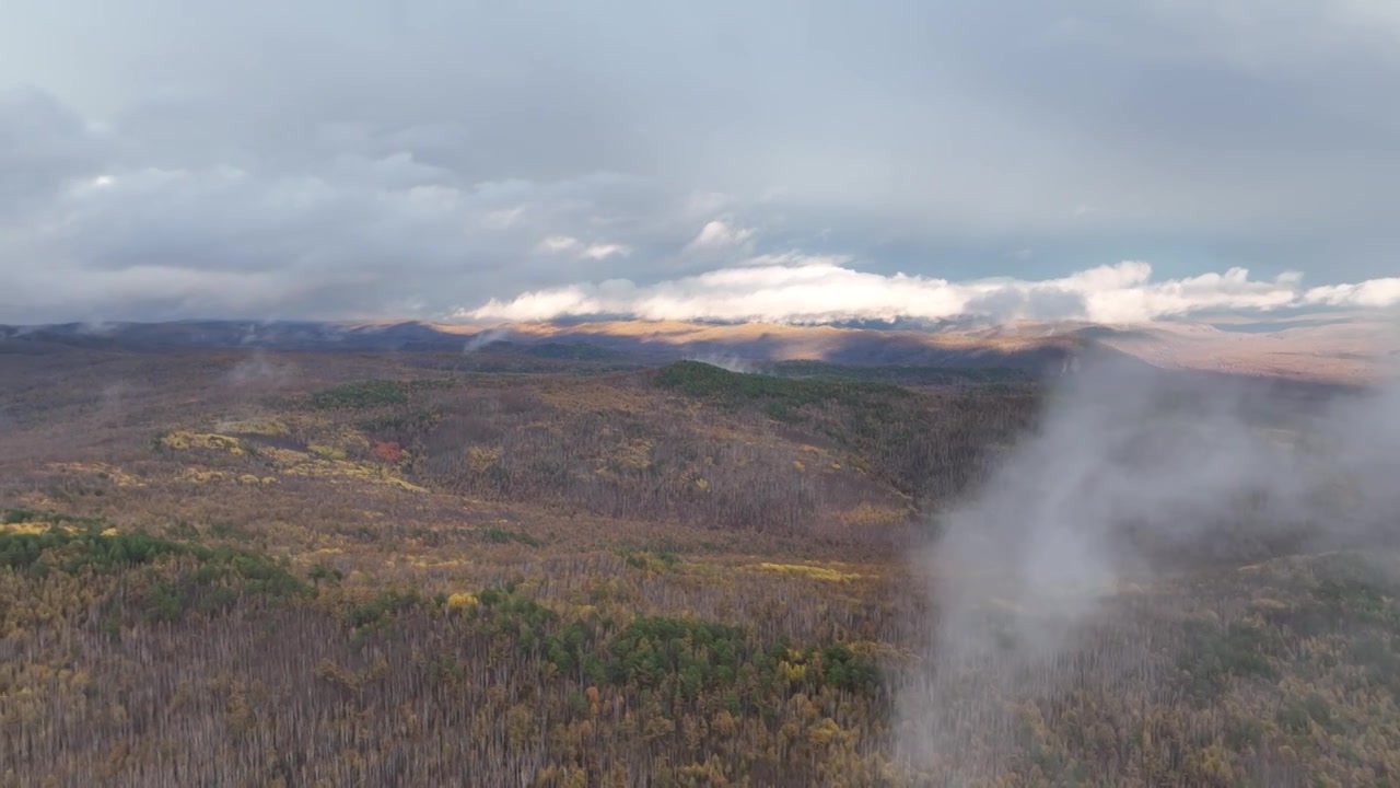 航拍云雾缭绕的秋季山林视频下载