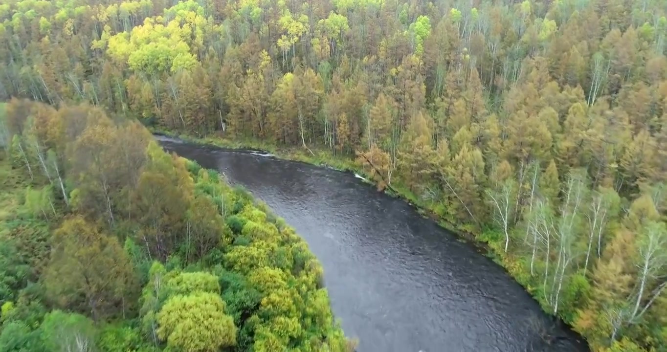 航拍大兴安岭秋季激流河森林风光视频下载