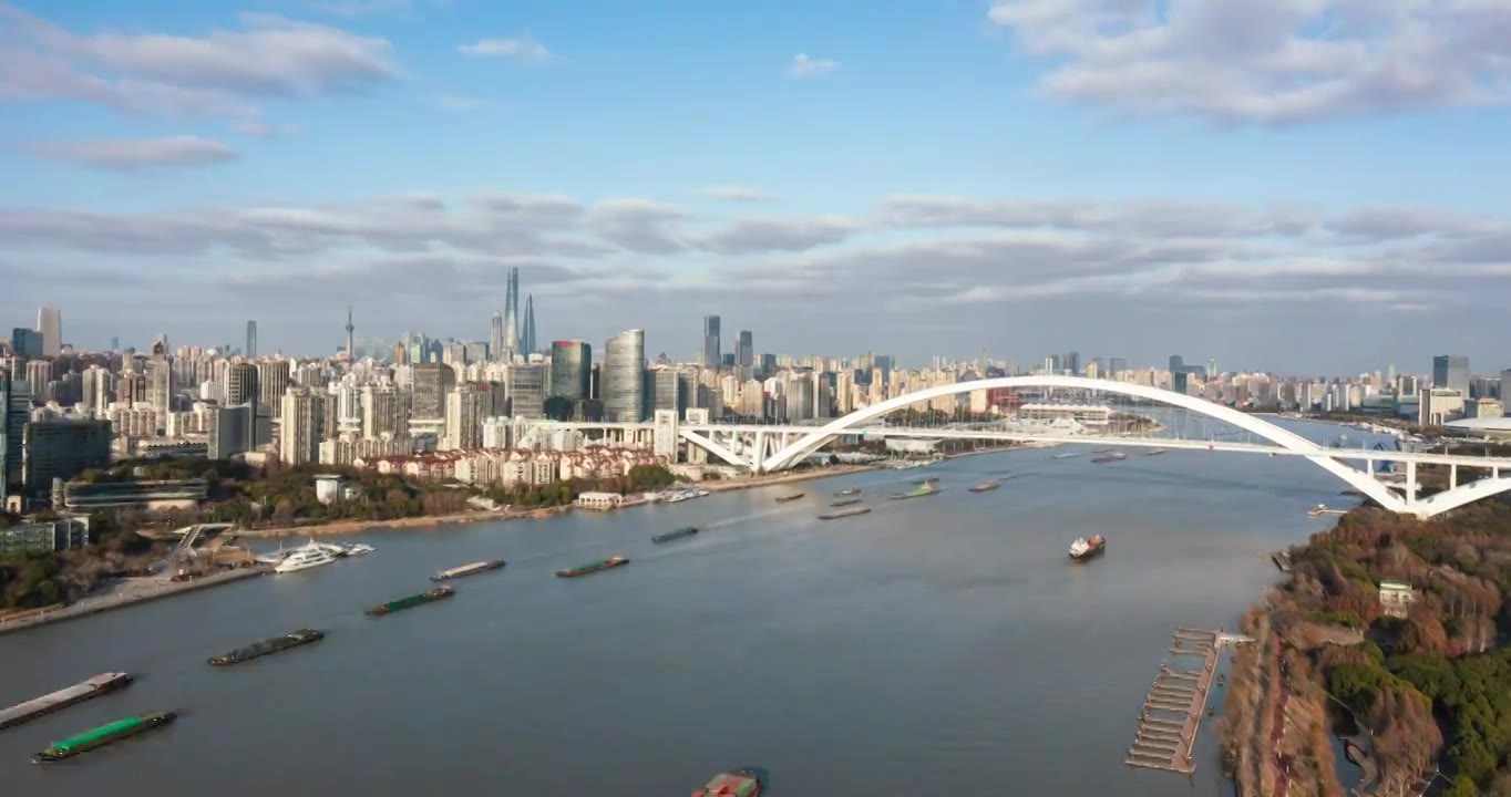 上海城市天际线，前滩的高楼大厦与卢浦大桥视频下载