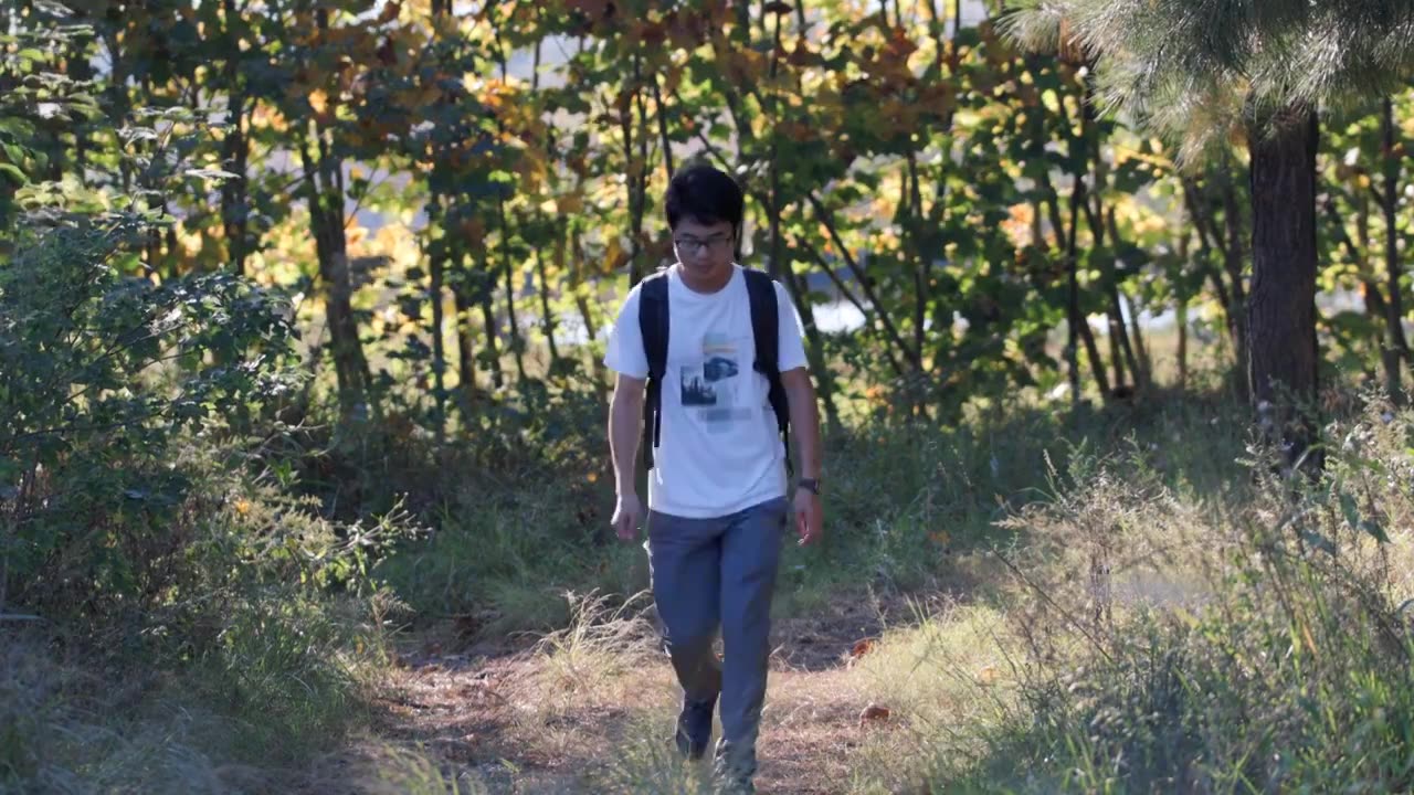 4K年轻男性背包独自在树林中行走视频下载
