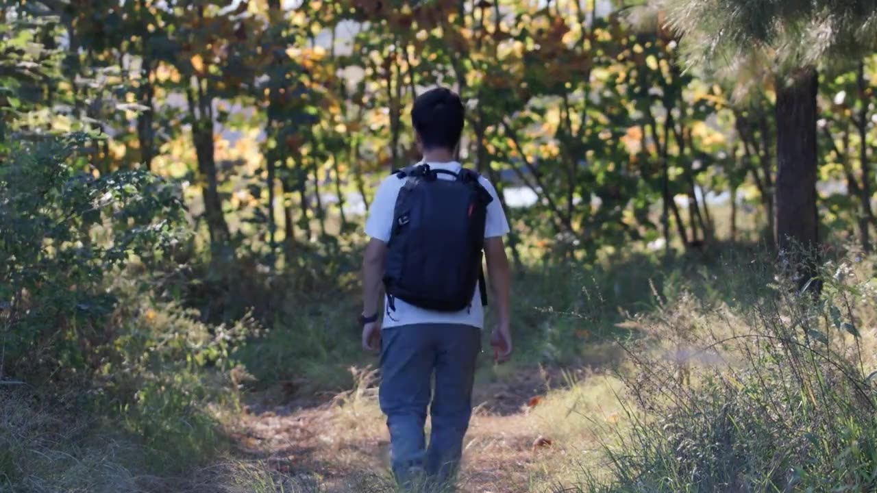 4K年轻男性背包独自在树林中行走视频下载