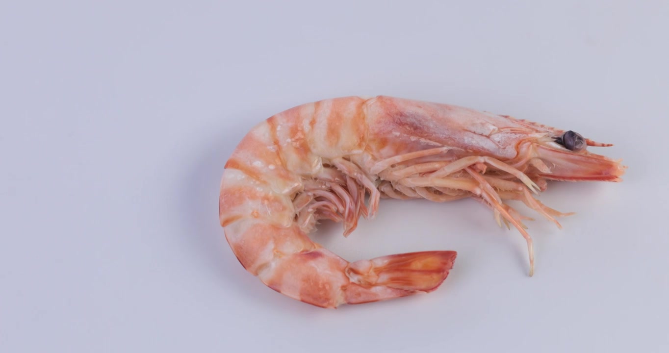 【正版素材】海鲜熟虾白背景全景横移视频素材