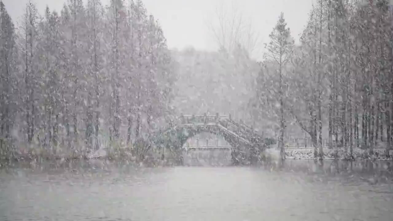 冬日大雪雪景视频素材