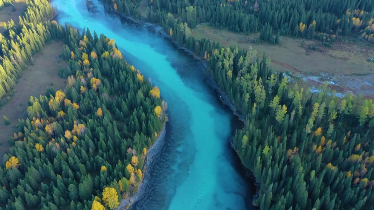 4K蓝色河流树木森林视频下载