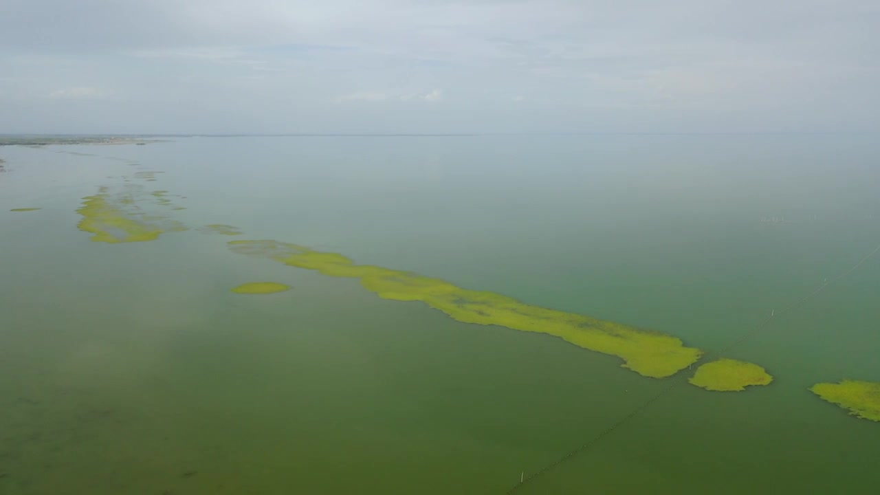 原创 新疆库尔勒博斯腾湖湿地自然风光航拍视频素材