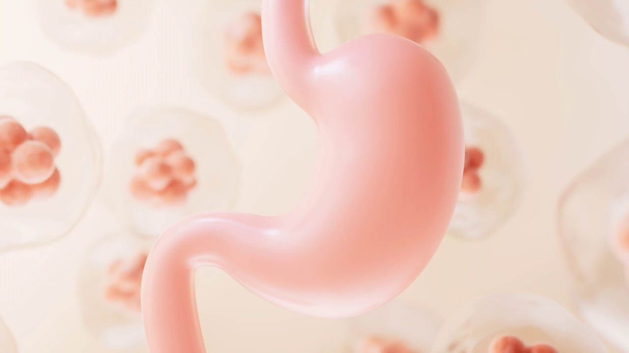 胃部与生物细胞背景3D渲染视频素材