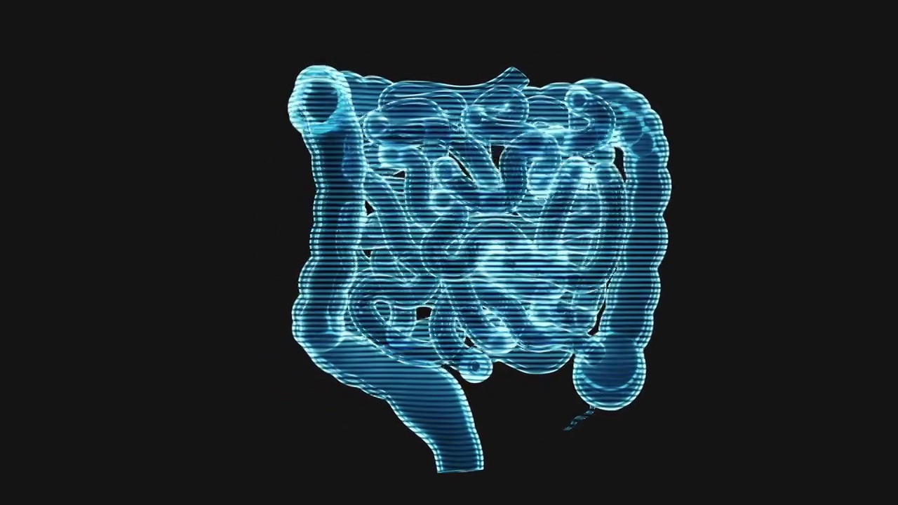 内脏器官肠道全息影像循环动画3D渲染视频素材