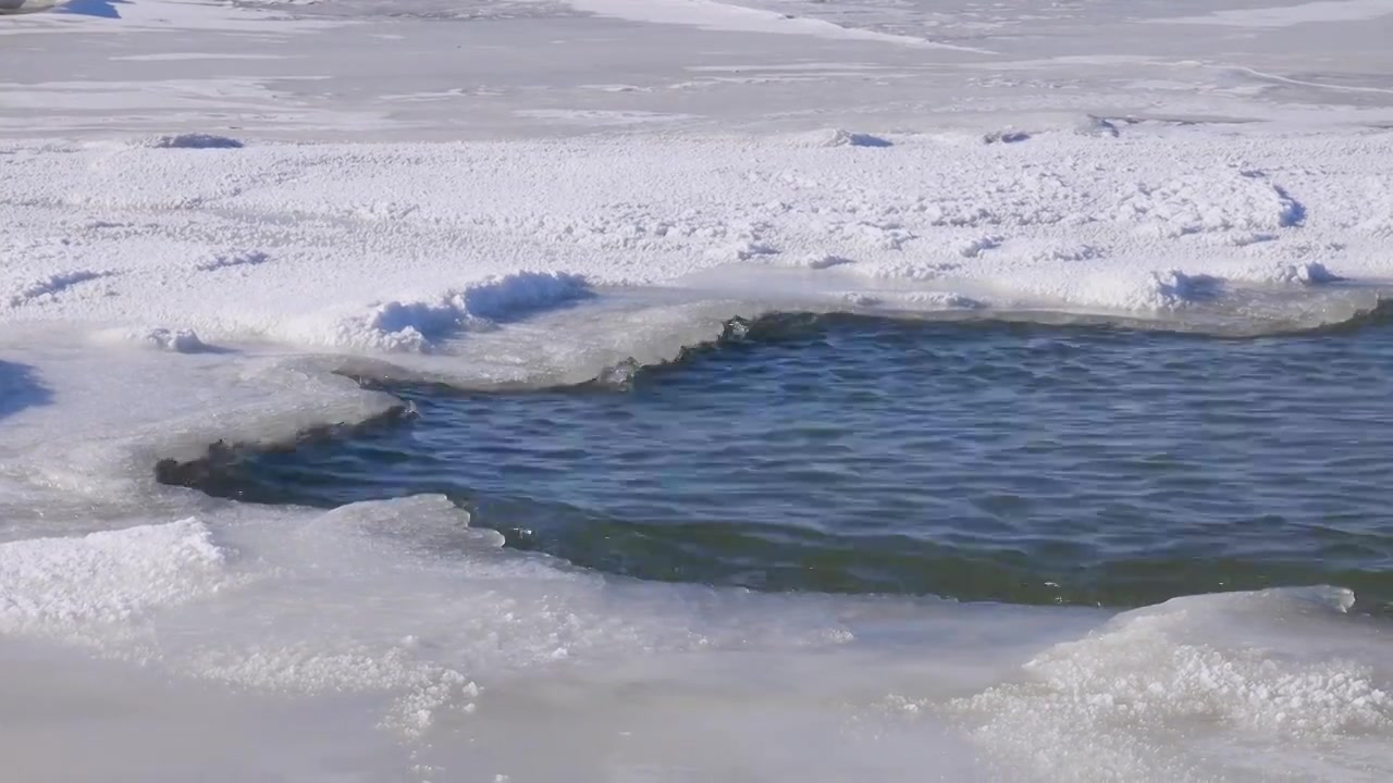 冰河 不冻河特写 冰与湍急的河流视频素材