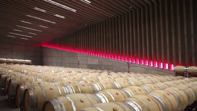 葡萄酒储存在fastino酿酒厂，里贝拉德尔杜埃罗，西班牙视频下载