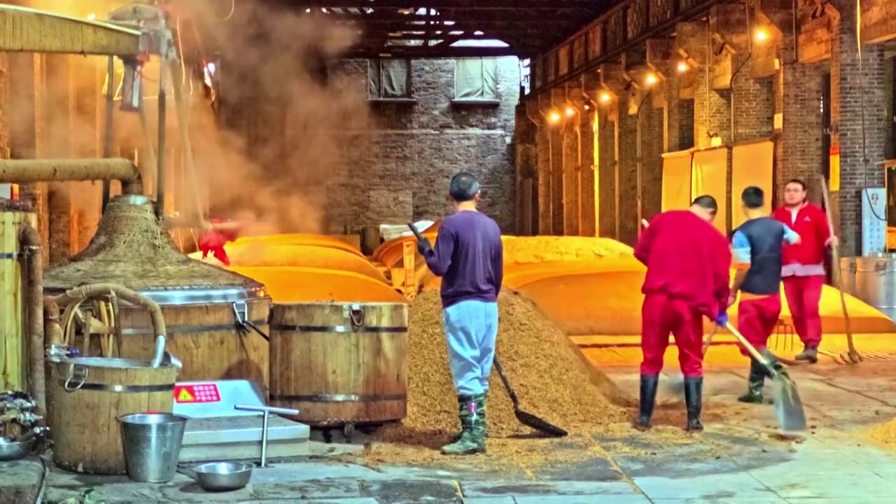 中国 传统 酿酒 白酒 曲酒 生产 作坊 车间 工艺 过程视频下载