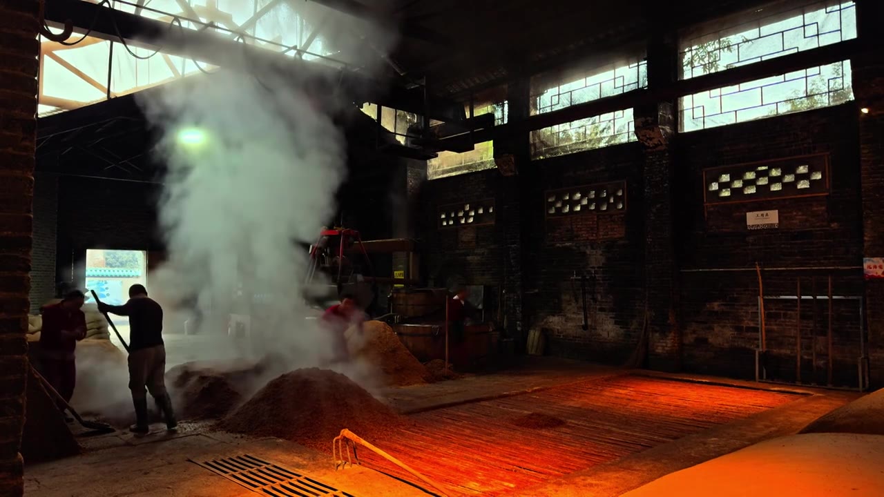 中国 传统 酿酒 白酒 曲酒 生产 作坊 车间 工艺 过程视频下载