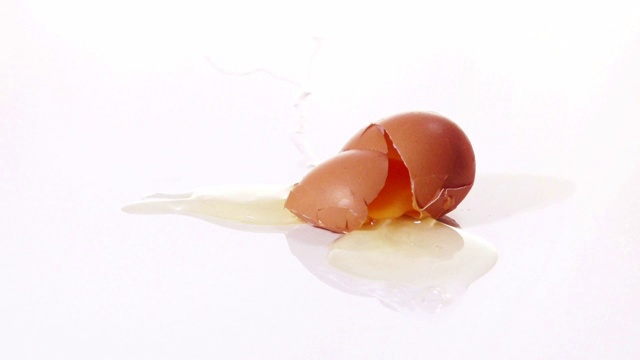 一个鸡蛋掉到地板上视频下载