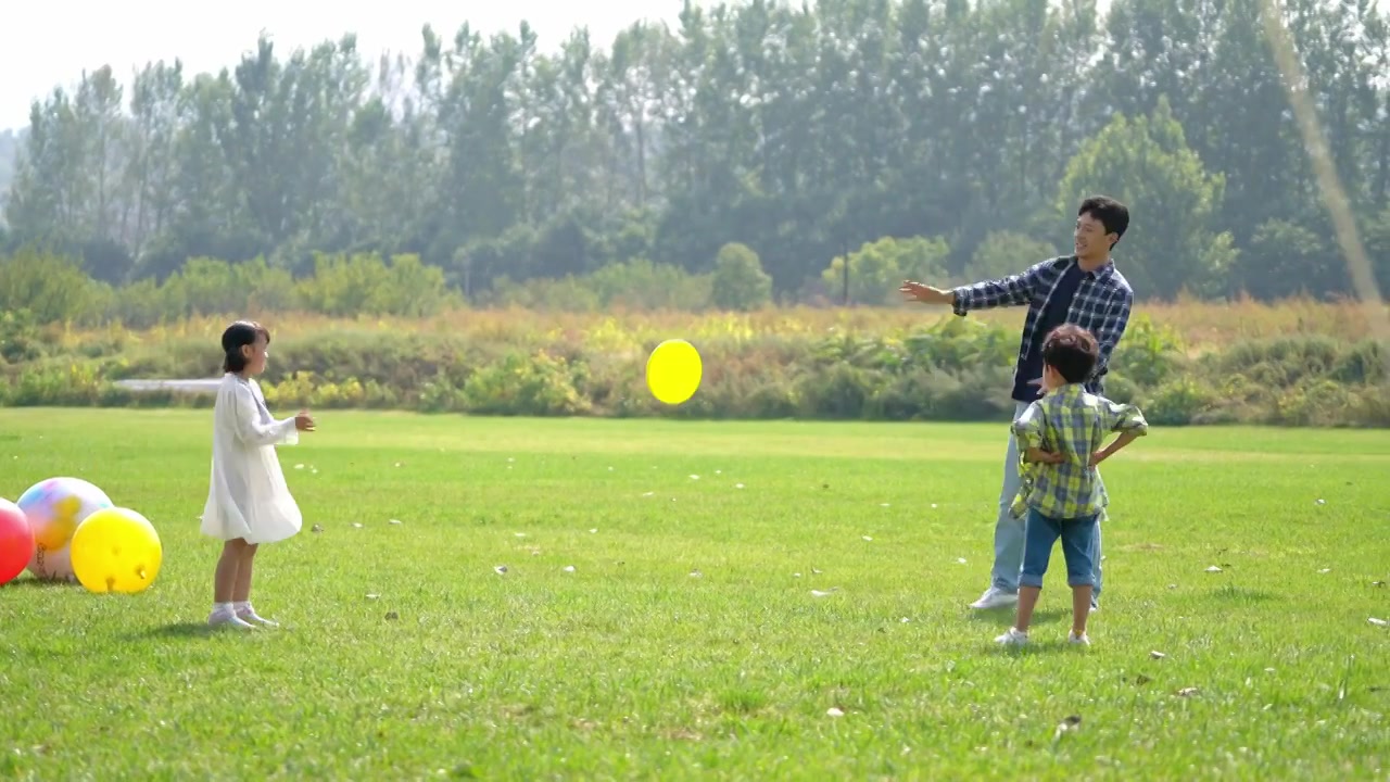 爸爸和孩子在草地上扔飞盘视频素材