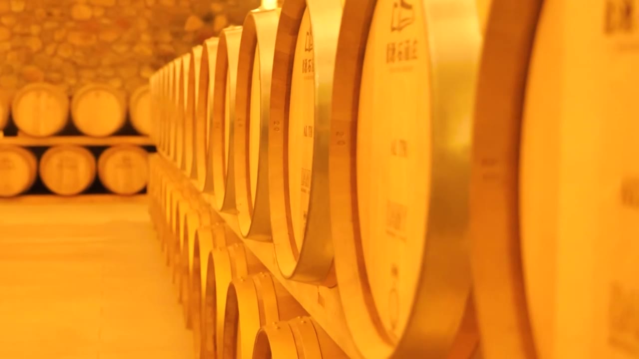 宁夏大型葡萄酒窖发酵过程视频素材