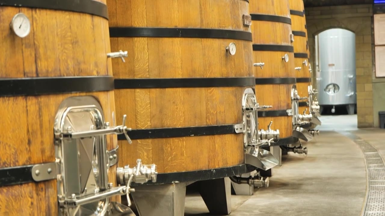 葡萄酒酿酒厂视频素材