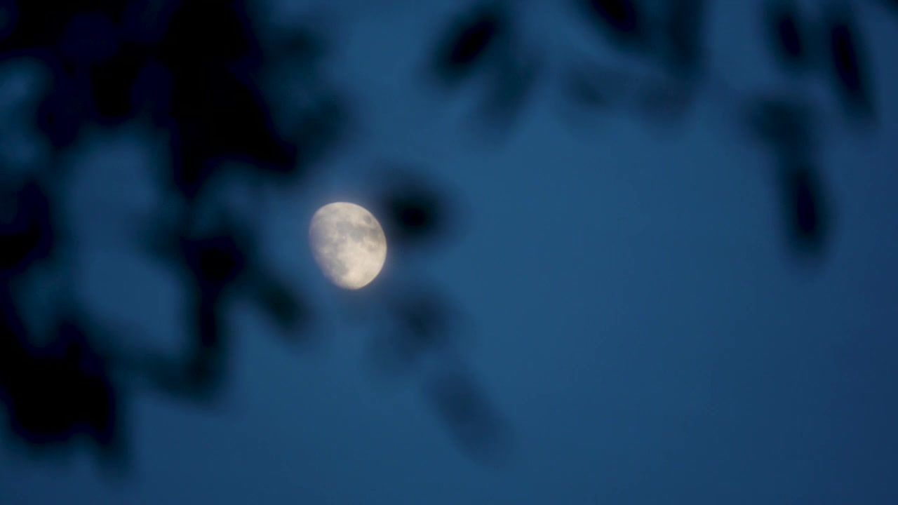 天空月亮上玄月视频下载