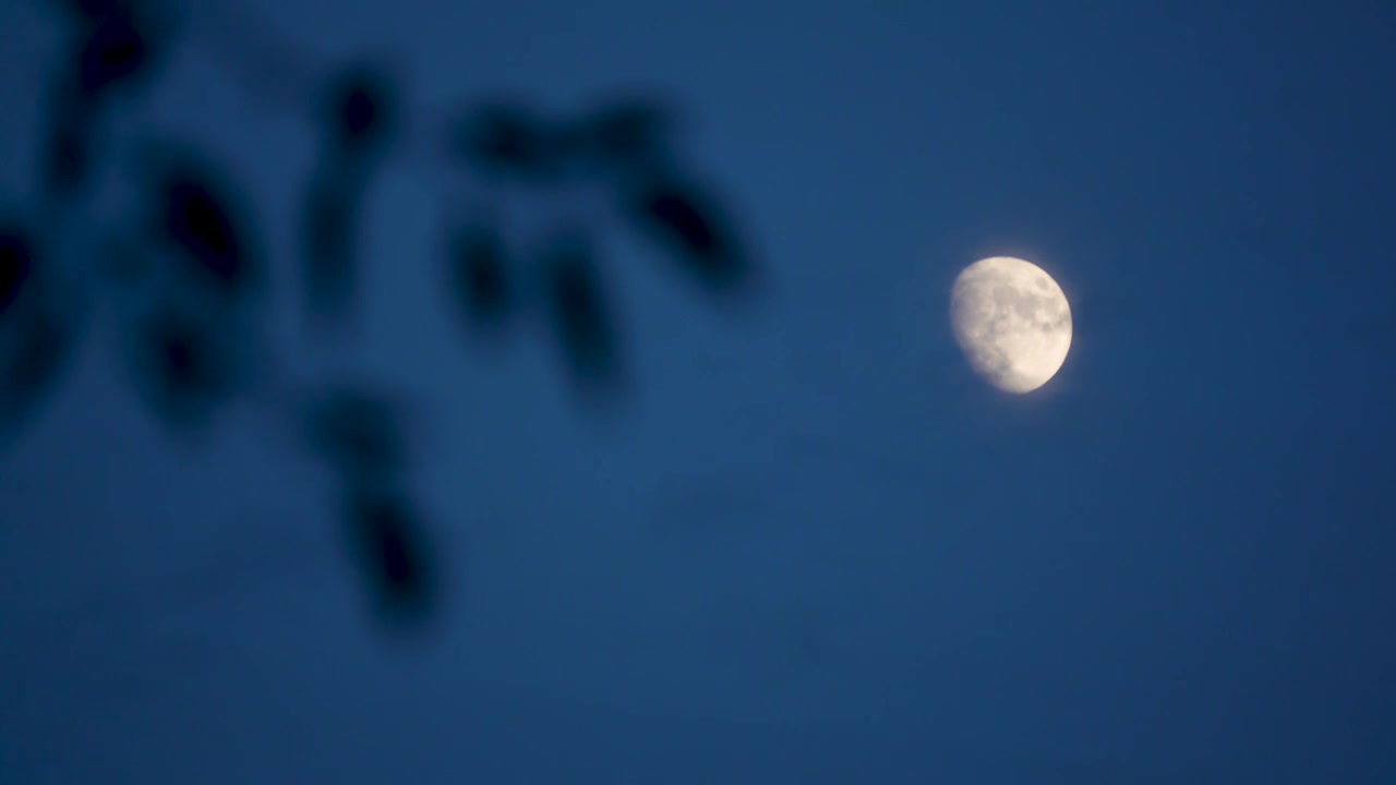 天空月亮上玄月视频下载