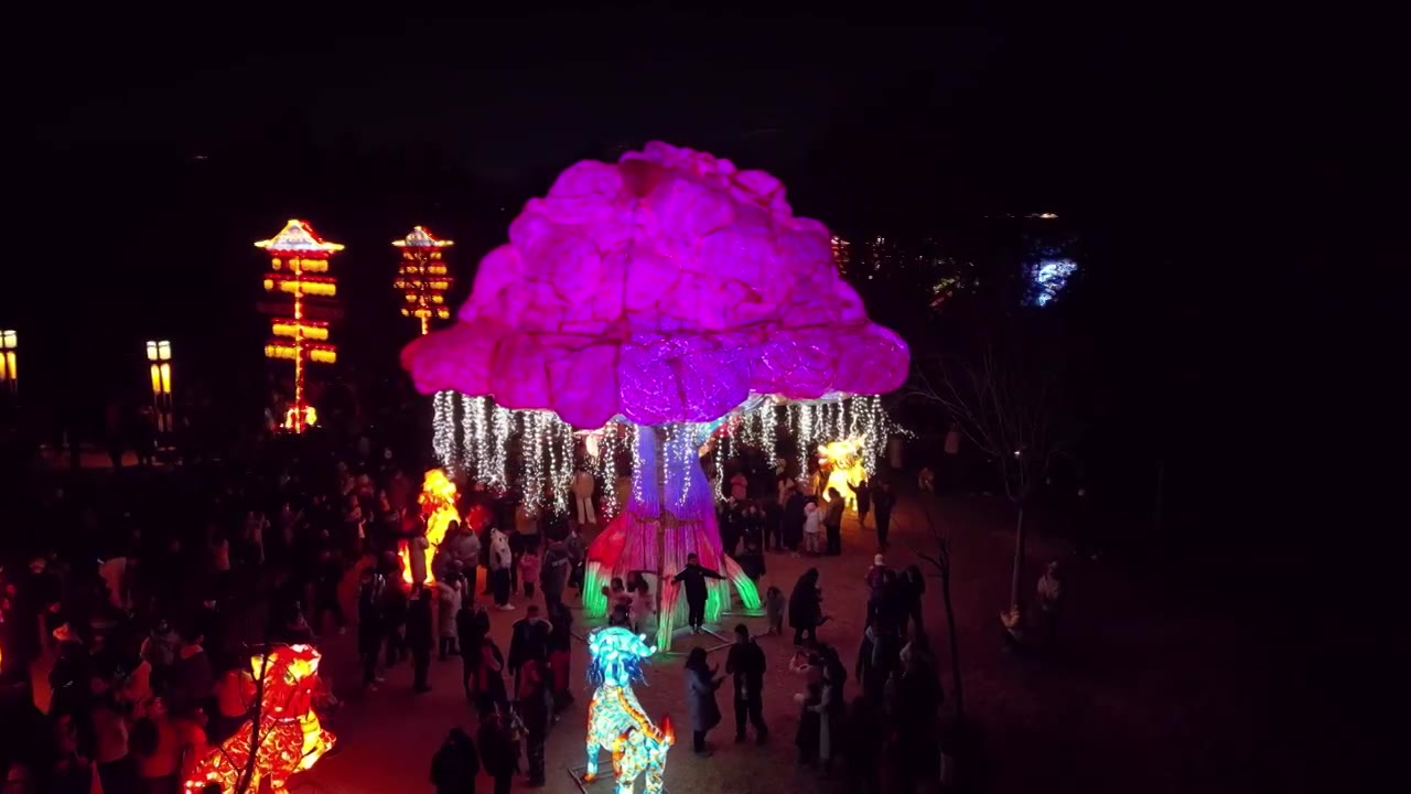 洛阳隋唐植物园2024新春灯会视频素材