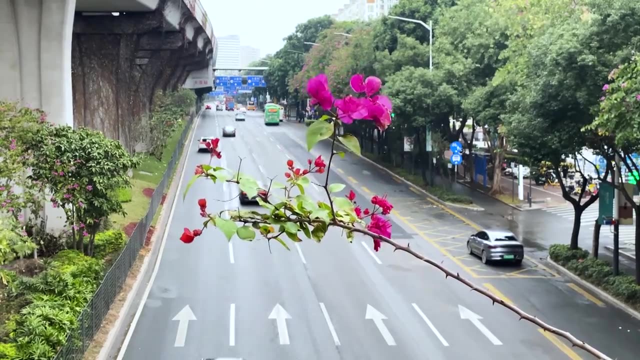 深圳城市道路交通汽车行驶视频下载