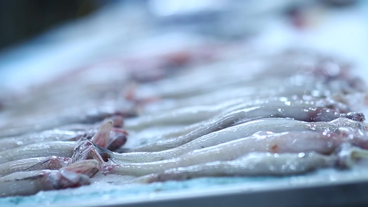 海鲜市场鱼类拍摄视频下载