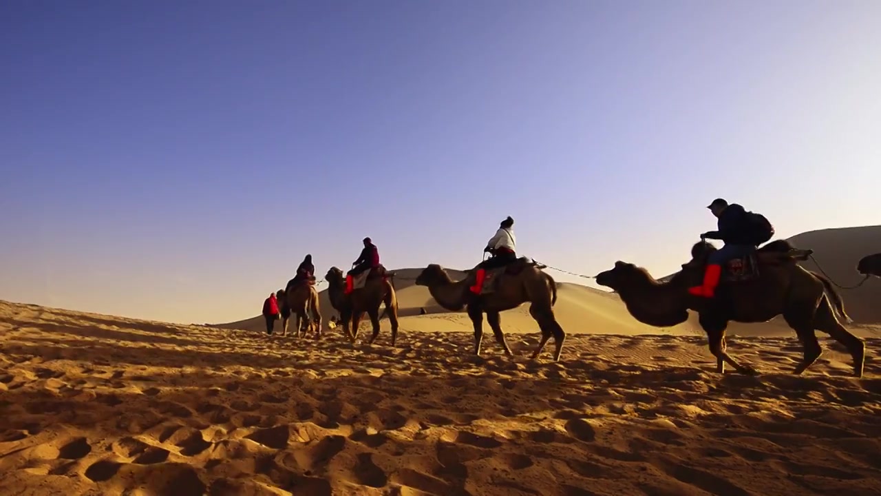 沙漠中骆驼与游客视频下载