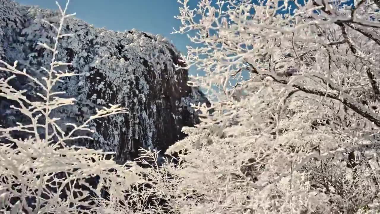 2024黄山冬雪视频下载