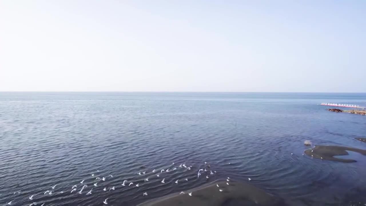 博斯腾湖新疆库尔勒湖泊4K视频下载