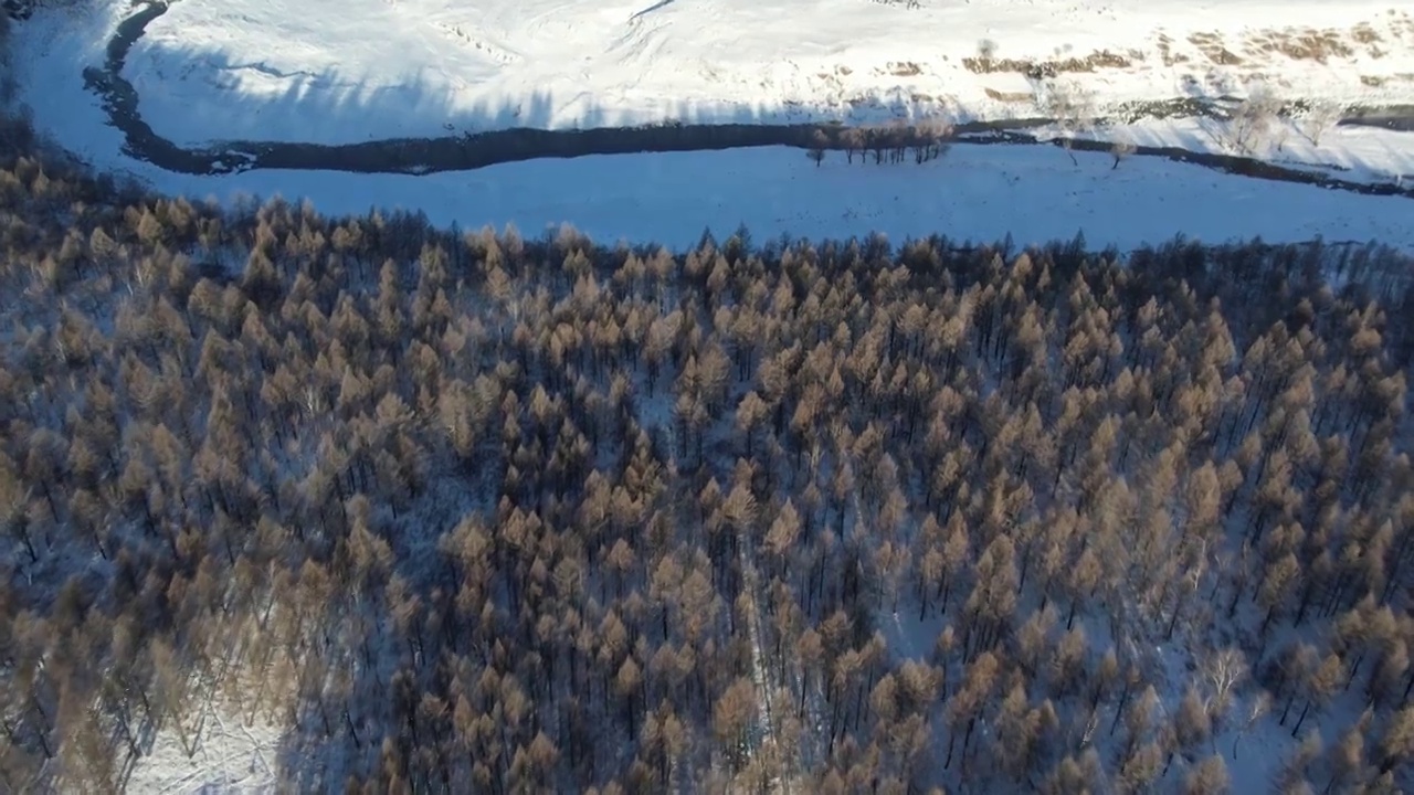 内蒙古呼伦贝尔阿尔山冬季风光视频素材