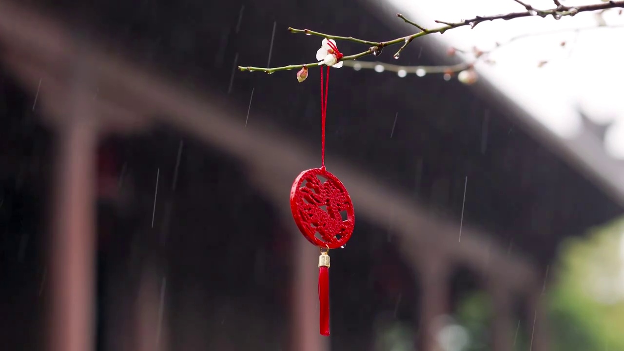 雨天杭州西湖钱王祠视频素材