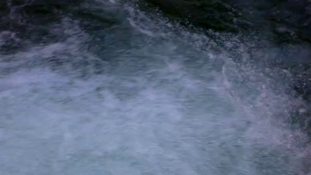 流动的溪水视频素材