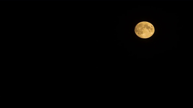 月圆之夜视频下载