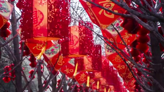 北京冬季地坛庙会视频素材
