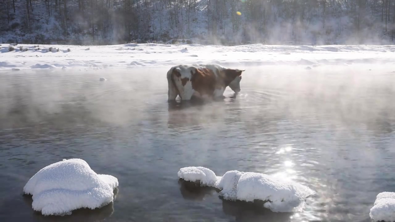 内蒙古呼伦贝尔阿尔山冬季风光视频下载