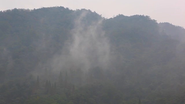 山中的雾视频素材