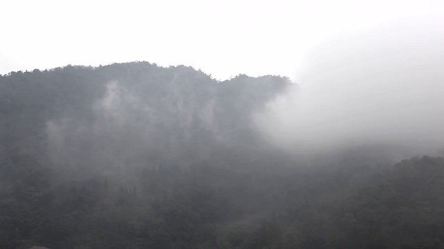 山中的雾视频素材