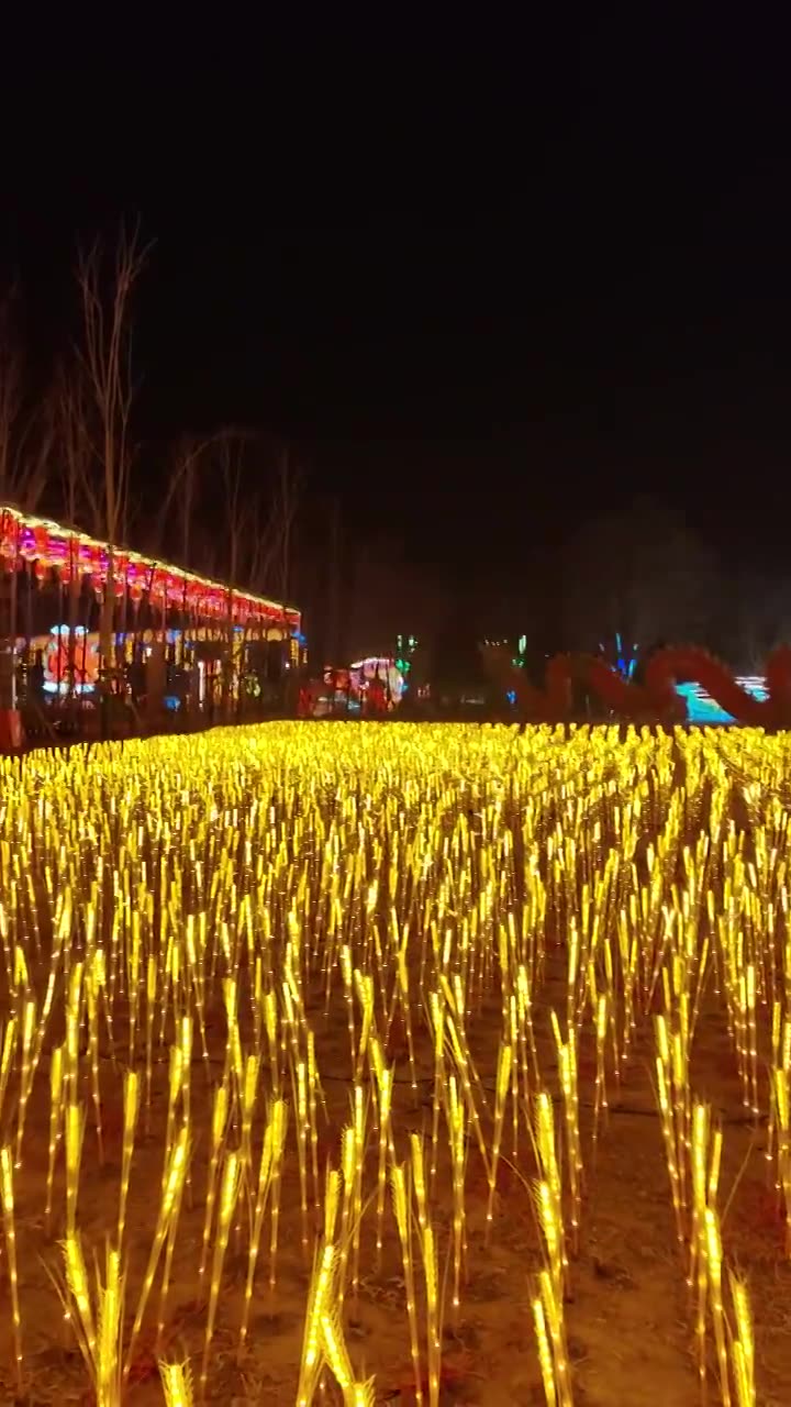 北京温榆河公园龙年春节温榆千灯会视频下载