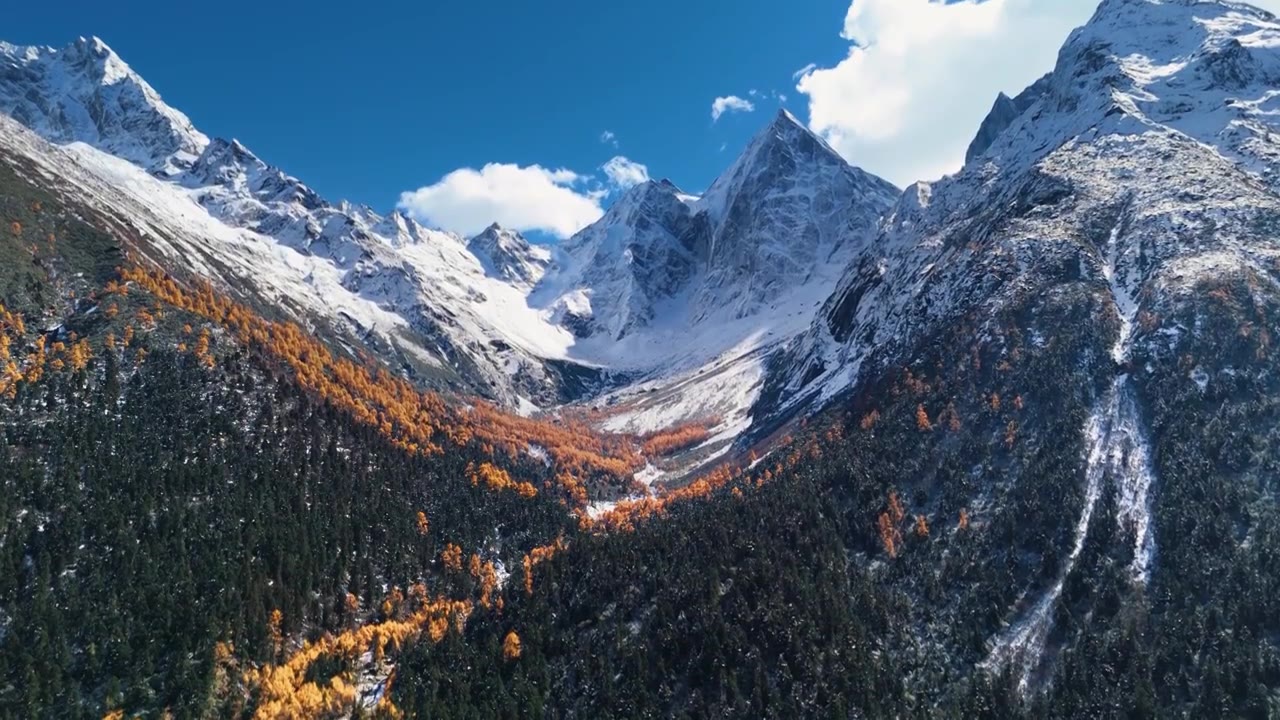 航拍秋天川西青藏高原雪山森林彩林视频下载