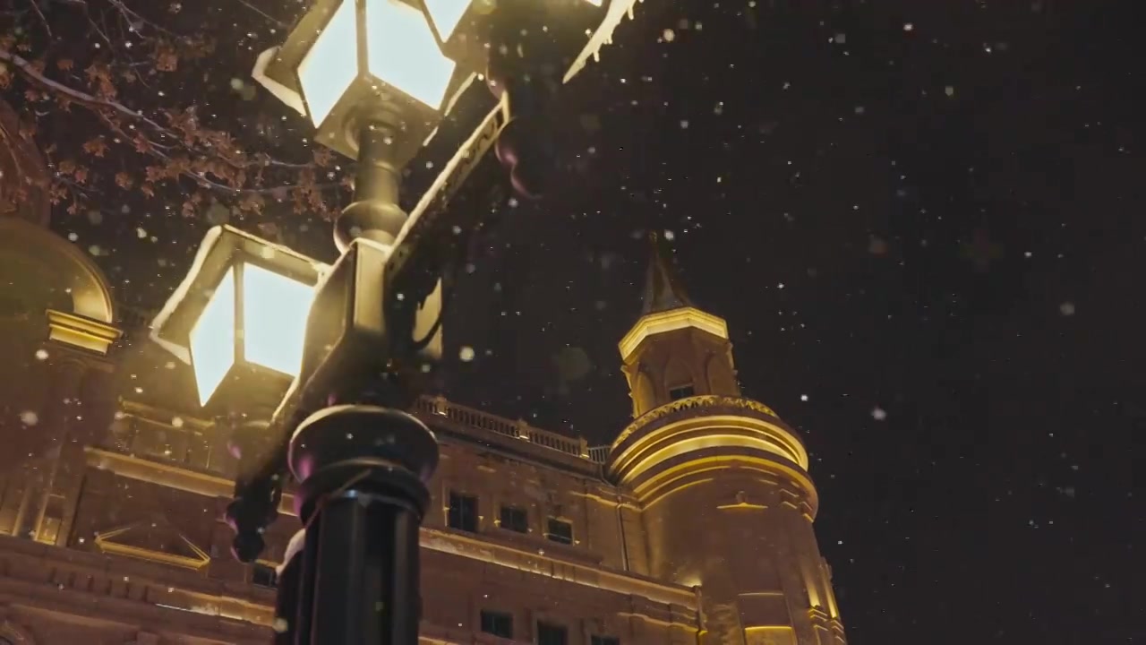 下雪的哈尔滨中央大街视频下载