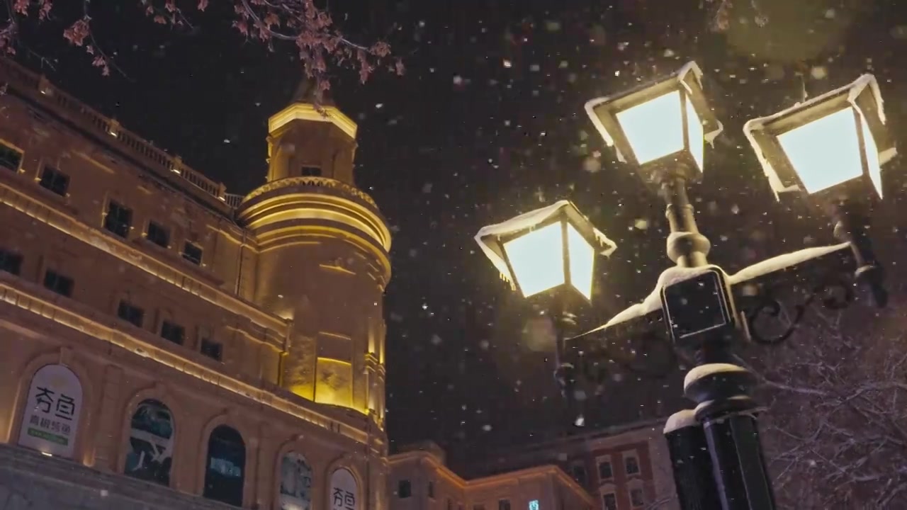 下雪的哈尔滨中央大街视频下载