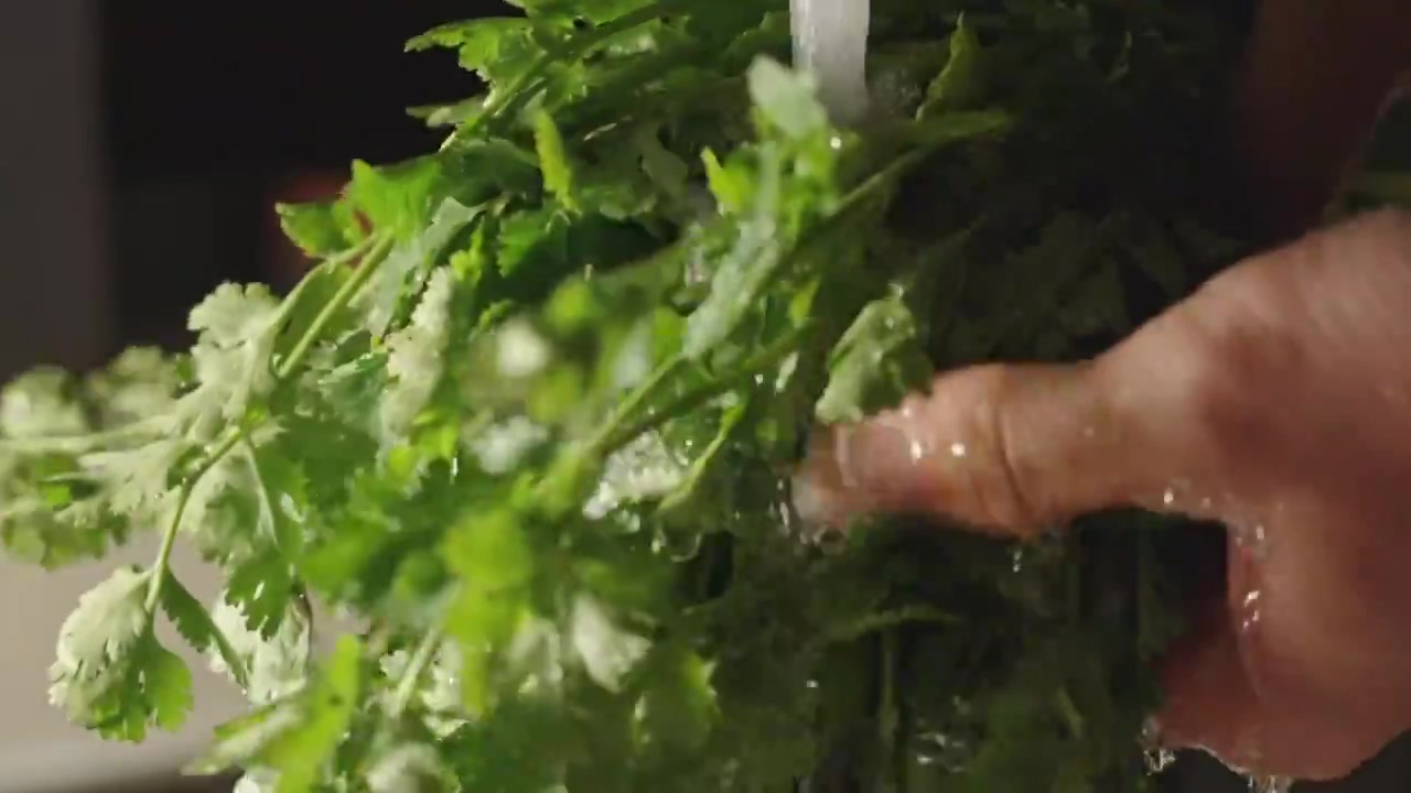 用水冲洗香菜叶子洗菜视频素材
