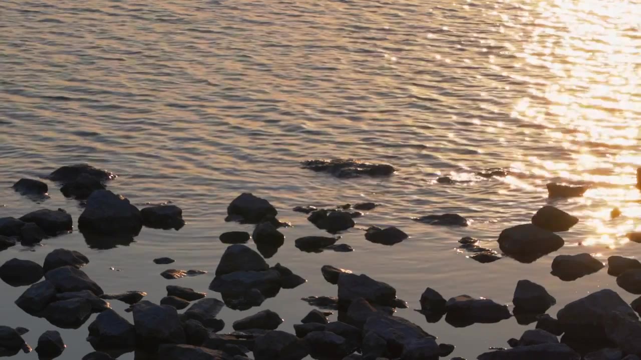杭州钱塘江边的护堤碎波石头工程视频下载