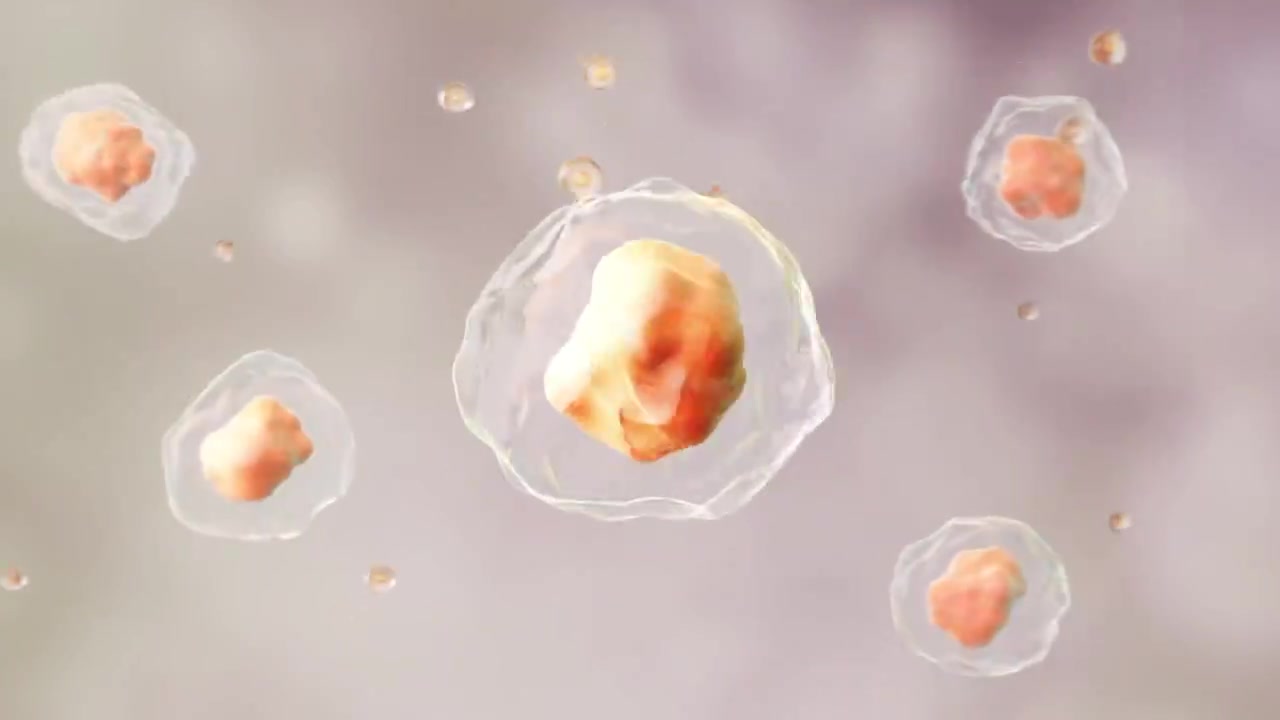 恢复细胞弹性 细胞嘭弹 皮肤焕活新生视频下载