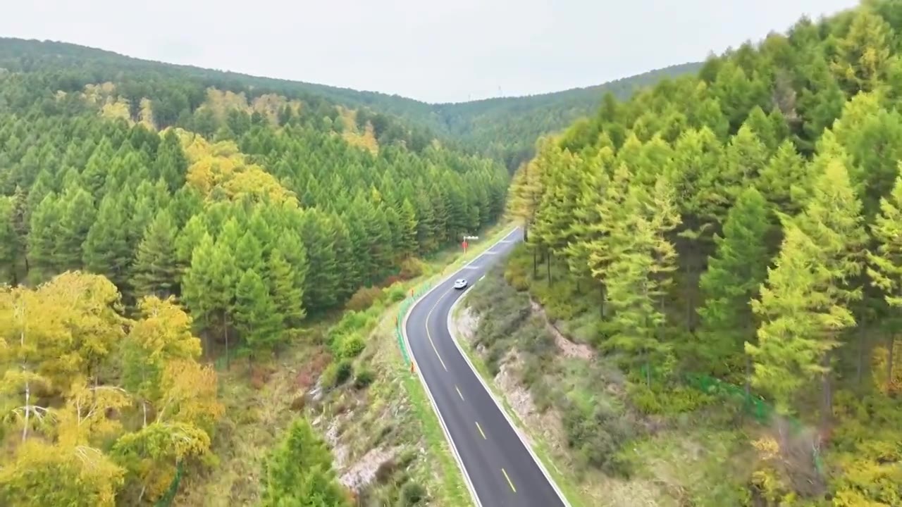 塞罕坝旅游道路行驶的汽车视频素材